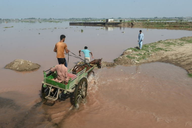Inondations dues à la mousson dans le Punjab au Pakistan, le 28 août 2025 ( AFP / Syed Murtaza Ali )