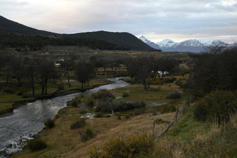 La rivière Pipo, près d'Ushuaïa, en Terre de feu argentine, le 17 mai 2026  ( AFP / JUAN MABROMATA )