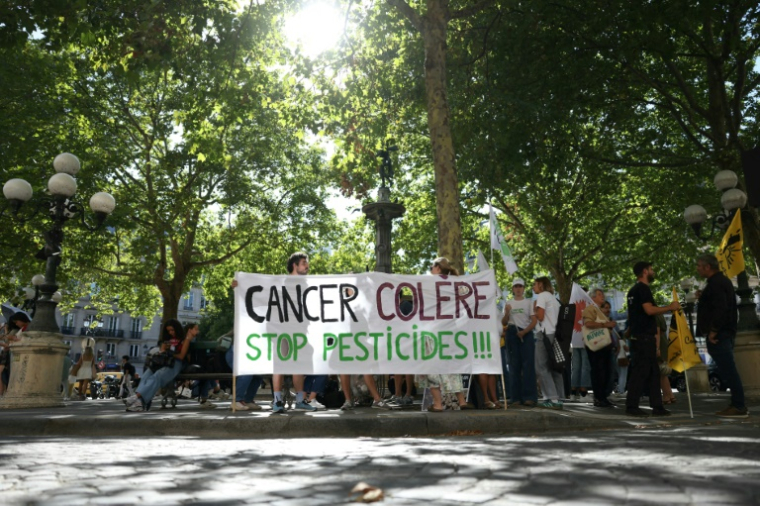 Manifestatin contre l'utilisation des pesticides à Paris, le 7 août 2025 ( AFP / Thomas SAMSON )
