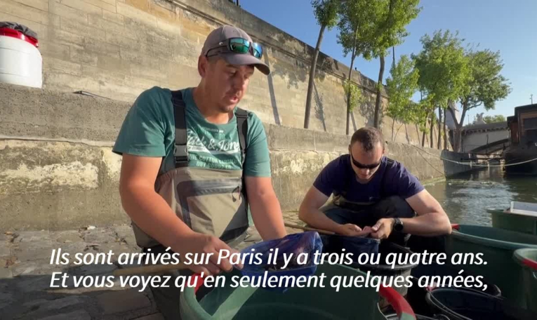 La Seine, plus propre, voit le retour de ses poissons historiques