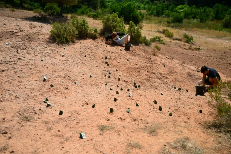 Des personnes cherchent des œufs de dinosaures sur le site de la montagne Sainte-Victoire, près d'Aix-en-Provence, le 25 juin 2025 dans les Bouches-du-Rhône ( AFP / Christophe SIMON )