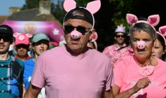 La course "Pig and Run" organisée  à Merlevenez dans le Morbihan par la profession porcine le 18 mai 2025 ( AFP / JEAN-FRANCOIS MONIER )