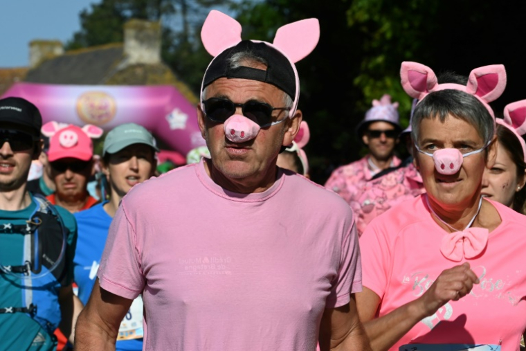 Des participants à la course "Pig and Run" organisée à Merlevenez par la profession porcine, le 18 mai 2025 dans le Morbihan ( AFP / JEAN-FRANCOIS MONIER )