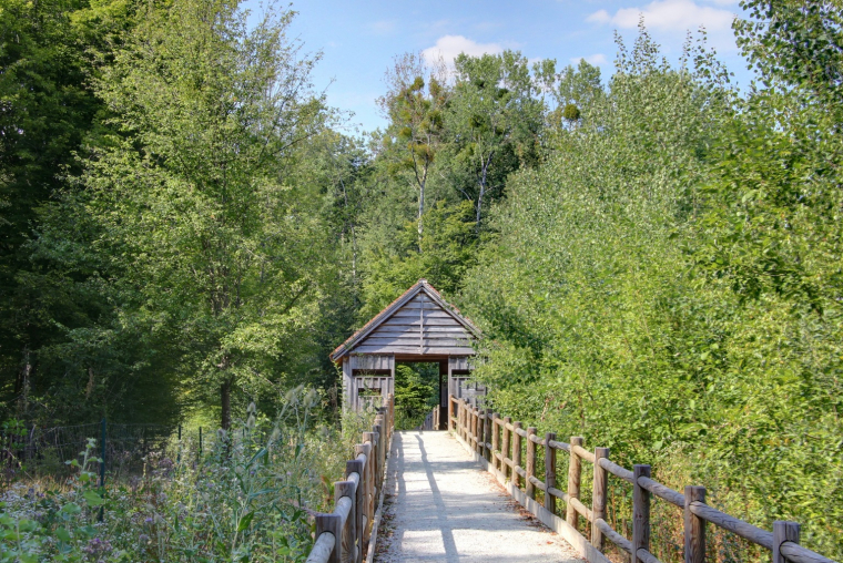 Les lacs de la forêt d'Orient