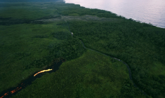 De la lave provenant du volcan du Piton de la Fournaise, sur l'île de La Réunion, le 12 mars 2026 ( AFP / Richard BOUHET )