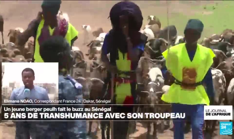 12 candidats face à Paul Biya pour la présidentielle, la candidature de Kamto rejetée