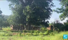 Octobre rose : la difficile prise en charge du cancer du sein au Togo