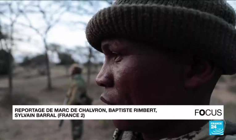 Kenya : la fertilisation in vitro, dernière chance de survie pour les rhinocéros blancs ?