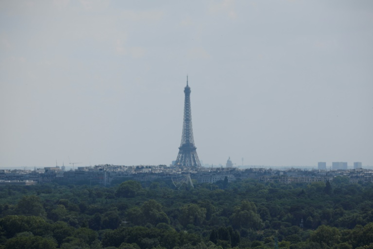 Vue de Paris et de la Tour Eiffel dans une bryle de pollution, le 26 juin 2024 ( AFP / OLYMPIA DE MAISMONT )