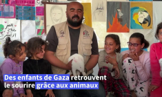 À Gaza, la psychothérapie assistée par des animaux redonne le sourire aux enfants