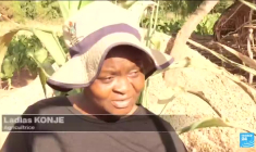 Sécheresse : le Zimbabwe déclare l'état de catastrophe