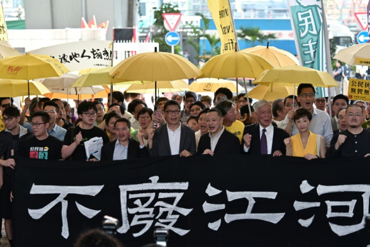 Des militants pro-démocratie, dont des membre du Parti démocrate, manifestent à Hong Kong le 24 avril 2019 ( AFP / Anthony WALLACE )