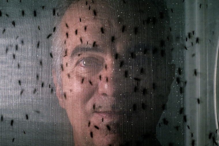 Le scientifique brésilien Luciano Moreira à Curitiba, au Brésil, le 19 mars 2026 ( AFP / Nelson ALMEIDA )