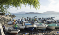 Pêcheurs et bateaux de pêche dans le port de Dzaoudzi, à Mayotte, le 29 avril 2023 ( AFP / Patrick Meinhardt )