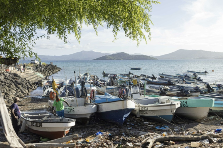 Pêcheurs et bateaux de pêche dans le port de Dzaoudzi, à Mayotte, le 29 avril 2023 ( AFP / Patrick Meinhardt )