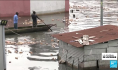 RD Congo : crues historiques du fleuve Congo