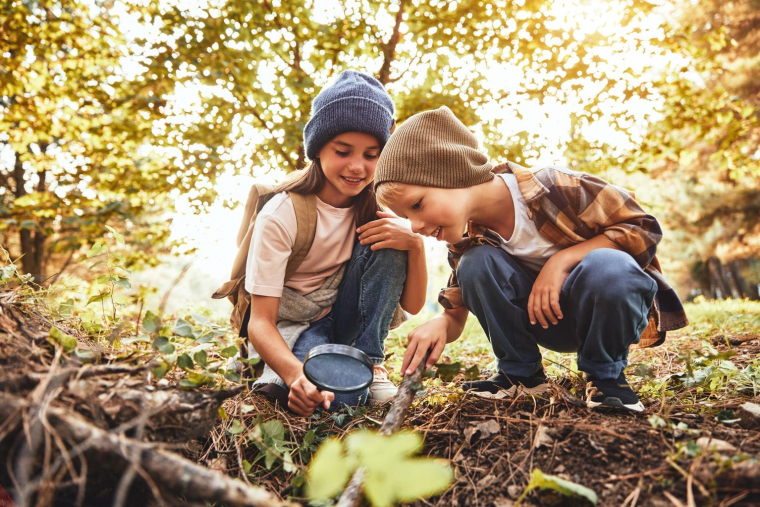 Les écoles en forêt gagnent en popularité en France crédit photo : Shutterstock