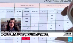 Tunisie : 94,6% ont voté oui à la nouvelle Constitution controversée