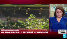 Le blocus du détroit d'Ormuz menace la sécurité alimentaire mondiale