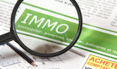 (Crédits photo : Adobe Stock -  )