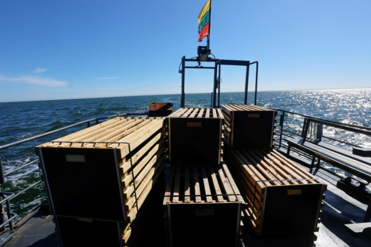 Des caisses transportant des bébés phoques gris sur le pont d'un bateau avant d'être relâchés dans la mer Baltique, à 20 km de Klaipeda, le 2 juillet 2025 en Lituanie ( AFP / Petras Malukas )