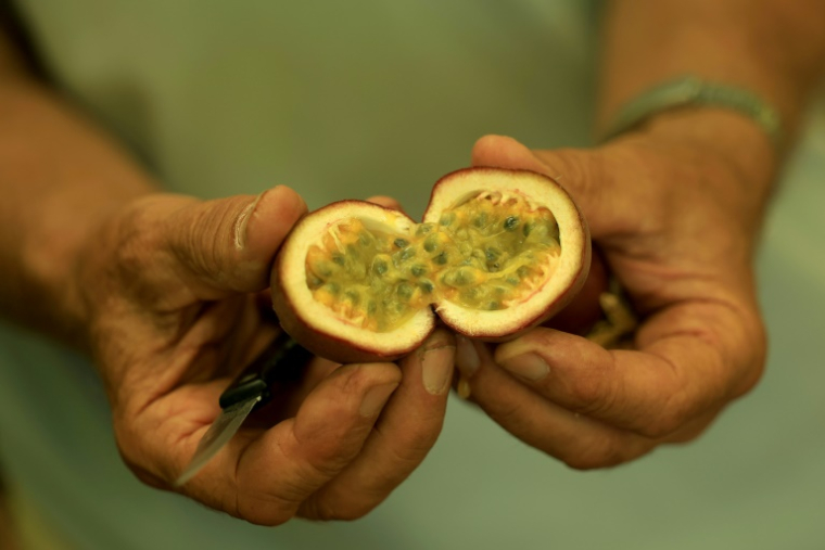 L'agriculteur Irakli Shkoza montre un fruit de la passion dans sa ferme à Divjake, le 1er juillet 2025 en Albanie ( AFP / Adnan Beci )