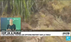 "À la COP28, on attend un souffle politique pour s’attaquer à la question des énergies fossiles"