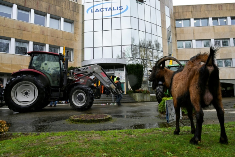 Manifestation de la Confédération paysanne à Laval, en Mayenne, le 21 février 2024. ( AFP / DAMIEN MEYER )