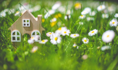 Licvin/Shutterstock / Licvin