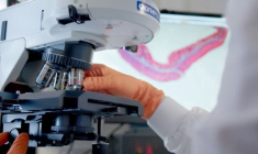 valbiotis laboratoire (Crédit:  / Crédit Valbiotis)