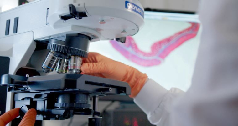 valbiotis laboratoire (crédit photo : Crédit Valbiotis /  )