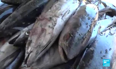 Vidéo : en Somalie, que reste-t-il des pirates des temps modernes ?