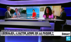 Blocage des céréales en Ukraine : l'autre arme de la Russie ?