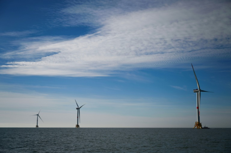 Des éoliennes au large de Port-de-Bouc, le 7 décembre 2023 dans les Bouches-du-Rhône ( AFP / Christophe SIMON )