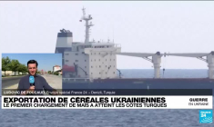 Céréales ukrainiennes : le premier chargement de maÏs a atteint les côtes turques