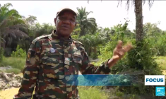 La Côte d’Ivoire veut protéger ses hippopotames pygmées, en voie d’extinction