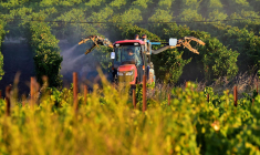 ( AFP / GEORGES GOBET )