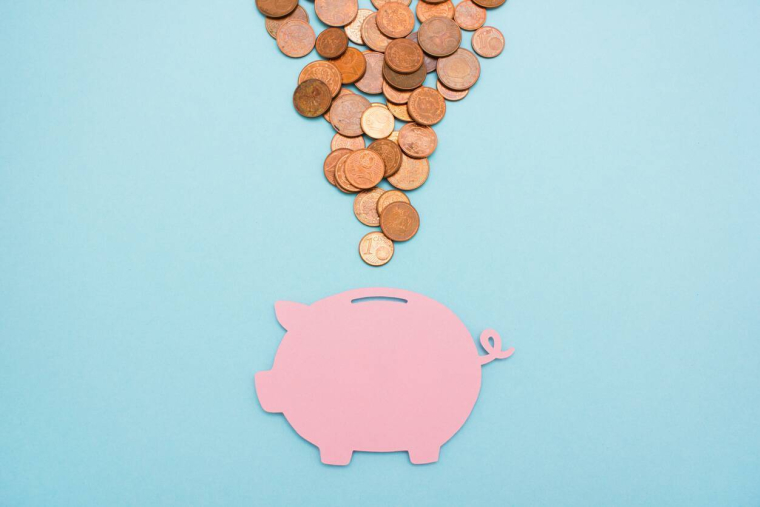 Budget : faire des économies avec la règle des 50/30/20 - iStock.com / MissTuni