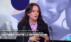 Pérou : une femme contre la déforestation