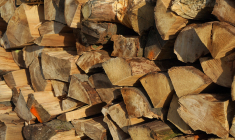 Chauffer une maison de 100 m2 d’octobre à mars revient à 1.058 euros avec un poêle à bûches, soit la méthode la plus économique. Illustration. (Webandi / Pixabay)