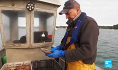 Bretagne : en remontant les méandres de la Rance, rivière tranquille entre terre et mer