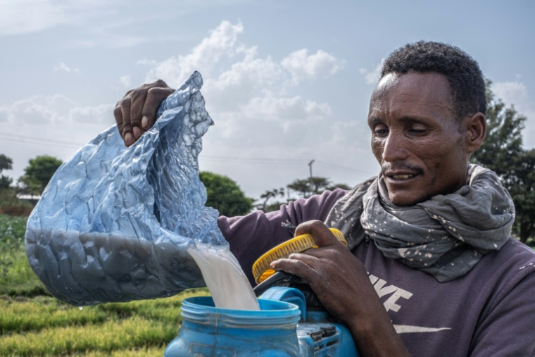 L'agriculteur Habib Bobasso remplit le réservoir de son pulvérisateur de pesticide avant de l'appliquer sur les plants d'oignons de son champ le long des rives du lac Dembel, le 20 mai 2025 à batu, en Ethiopie ( AFP / Marco Simoncelli )