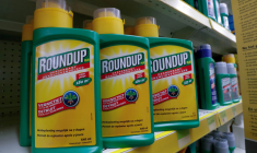 BAYER SE DIT LOURDEMENT AFFECTÉ PAR LES PROCÈS SUR LE ROUNDUP