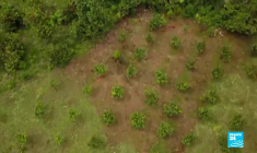Manifestants arrêtés au Gabon, soins intensifs en Irak et déforestation en Équateur