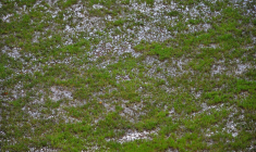 Ce match de quatrième division espagnole est tombé à l'eau