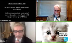 Projet de loi "Climat et résilience": "La fonte des ambitions"