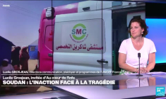 Lucile Grosjean: "cette guerre au Soudan, c'est aussi une guerre contre les enfants"