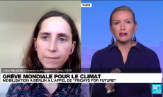 Grève mondiale pour le climat : mobilisations à Berlin à l'appel de "Fridays for future"