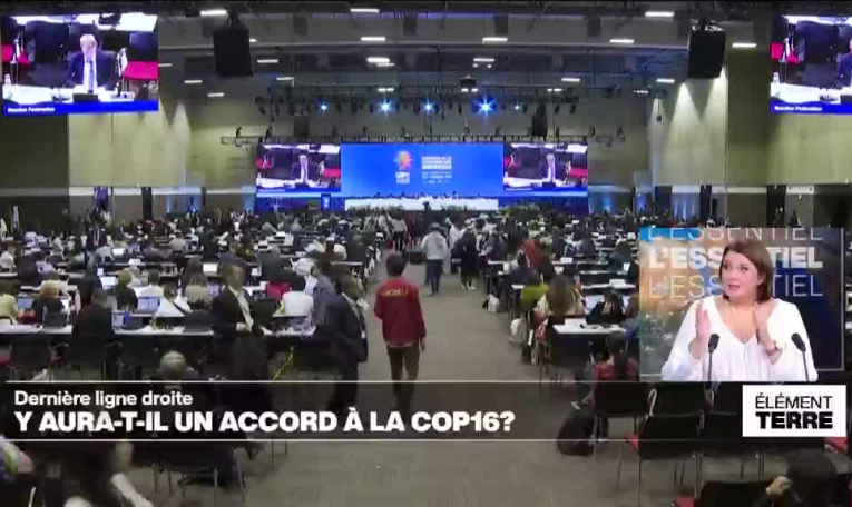 La COP 16 Biodiversité proche d'un accord sur le financement de la préservation de la Nature