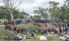 Des centaines d'étrangers fuyant les violences antimigrants font la queue pour recevoir de la nourriture dans le camp de fortune de Sherwood Park à Durban (Afrique du Sud), le 16 juin 2026 ( AFP / RAJESH JANTILAL )